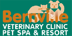 Bernville Vetinary Clinic